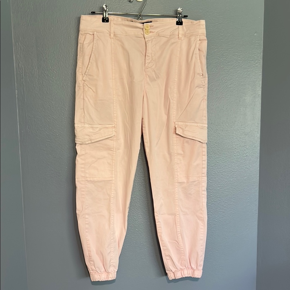 Sanctuary Pink Cargo Pants